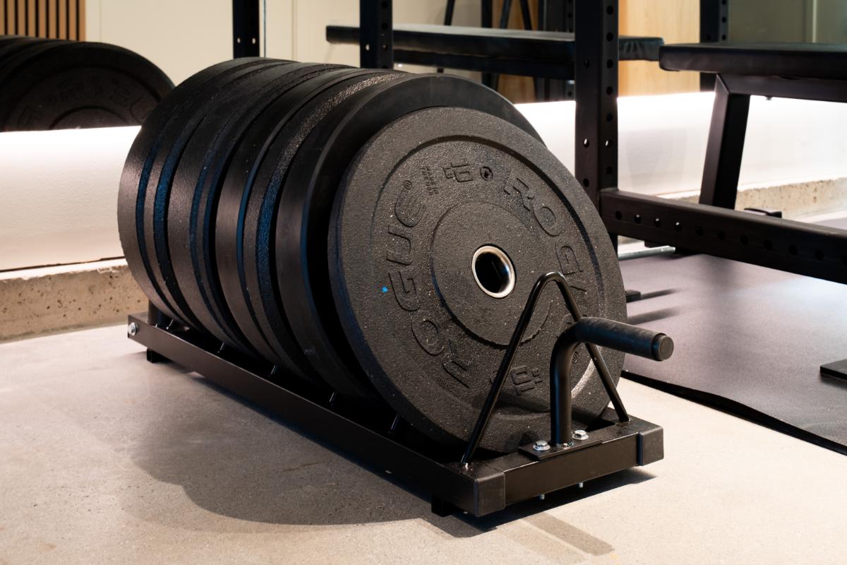 HomeTurf weight plates